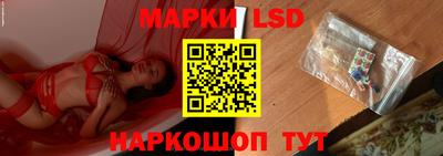 spice Бердск