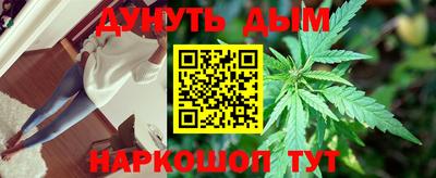 spice Бердск
