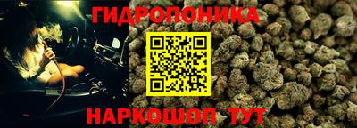 spice Бердск
