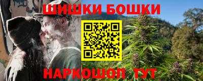 spice Бердск