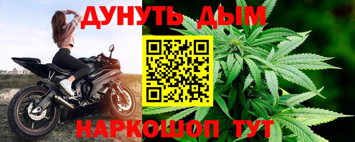 Россошь  Каннабис план  МАРИХУАНА SATIVA & INDICA  Каннабис конопля  Вход с VPN 